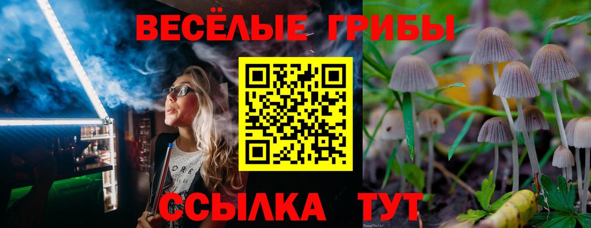 Татарск  Псилоцибиновые грибы Magic Shrooms  Галлюциногенные грибы прущие грибы  Вход с VPN 